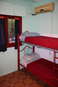 a room with two bunk beds and a window at The Grapevine Hostel in Mendoza
