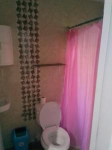 a bathroom with a pink shower curtain and a toilet at La Casa de Manccini in Santo Domingo