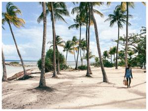 a woman walking on a beach with palm trees at Les pilotis in Courcelles Sucrerie +16 photos
