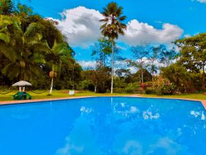 a blue swimming pool with palm trees in the background at Puerto Quito Lodge - Las Iguanas in Puerto Quito