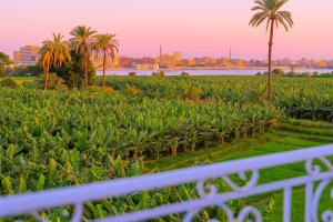 Příroda nedaleko aparthotelu + 25 fotografií