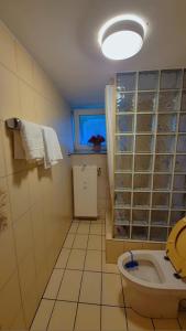 ein Bad mit einem WC und einer Dusche mit einem Fenster in der Unterkunft Einzelzimmer in Oberhausen Alstaden für 3 Personen ohne Küche, Gefrierschrank und Mikrowelle Vorhanden!! in Oberhausen