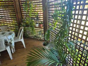 a porch with plants and a table and chairs at Sensalys in Sainte-Rose