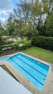 a large blue swimming pool in a yard at Hospedaje Los Pavo Reales in Tepoztlán