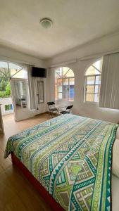 a bedroom with a large bed and windows and a television at Hospedaje Los Pavo Reales in Tepoztlán