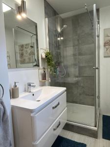 リクヴィールにあるle Roy de coeurの白い洗面台とシャワー付きのバスルーム +9枚の写真