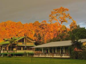 a house with a tree in the background at Puerto Quito Lodge - Las Iguanas in Puerto Quito