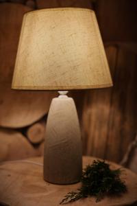 a lamp on a table with a plant on it at Rochowa Buźnica Apartament 1 in Zakopane