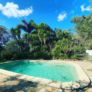 a swimming pool in a yard with palm trees at The Hinterland Spa & Moon Retreat in Boyland