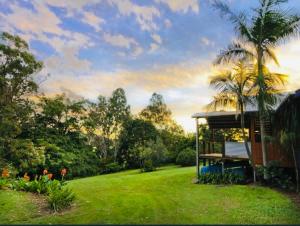 a yard with a house and a palm tree at The Hinterland Spa & Moon Retreat in Boyland