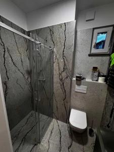 un baño con ducha y WC en Apartament Piastowska 2, en Polanica-Zdrój