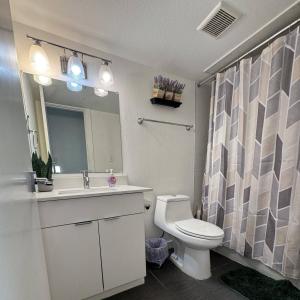 达拉斯3 DT Dallas l FIFA WORLD CUP READY l 5 Min from Love Field的浴室里有马桶、洗手池和镜子。