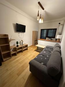 Una sala de estar con un sofá y un televisor de pantalla plana. en Studio Central Ro1, en Râmnicu Vâlcea