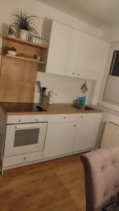 Kuchyň nebo kuchyňský kout v ubytování Ferienwohnung + 4 fotografie