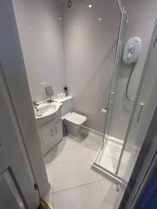 a bathroom with a shower and a toilet and a sink at Nevis Bank Studio in Fort William