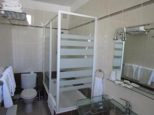 a bathroom with a shower and a toilet and a sink at Hôtel du Square d'Anvers in Paris