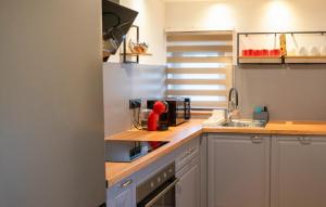a kitchen with a sink and a counter top at Awesome Home In Jamnica Pisarovinska With Sauna in Jamnica Pisarovinska