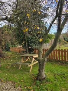 a picnic table next to a tree in a yard at Charming 2 Bed Modern Guest House with Free Parking up to 3 cars in Beeston