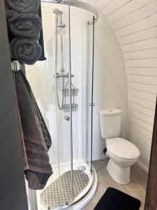 ein Badezimmer mit Dusche und Toilette in der Unterkunft Standen Lodge - Glamping Pods with hot tub - Mablethorpe in Mablethorpe