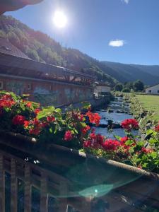 a river with flowers on the side of a building at Gîte Le repaire du faon-4 étoiles-12 pers-filet mezzanine-lit cabane in Plainfaing
