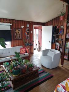 a living room with a couch and a table with plants at Habitación privada en Puerto Varas in Puerto Varas