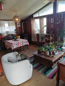 Φωτογραφία από το άλμπουμ του Habitación privada en Puerto Varas σε Puerto Varas +8 φωτογραφίες