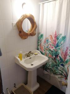 a bathroom with a sink and a mirror and a shower curtain at Habitación privada en Puerto Varas in Puerto Varas