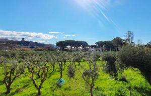 Eine Wiese mit Bäumen und Gras, im Hintergrund eine Burg in der Unterkunft 2 Bedroom Pet Friendly Apartment In Casal Velino in Castellammare di Velia