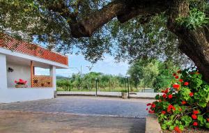 Ein Baum mit roten Blumen neben einem Gebäude in der Unterkunft 2 Bedroom Pet Friendly Apartment In Casal Velino in Castellammare di Velia + 16 Fotos