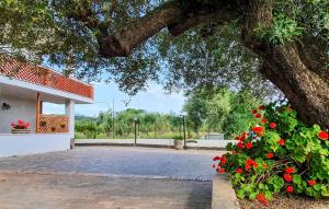 Κήπος έξω από το 2 Bedroom Gorgeous Apartment In Casal Velino