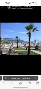 a screenshot of a screen from a website with a palm tree at Beach front villa 1 in Vlorë