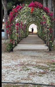 an arch with pink flowers and a man walking down a boardwalk at Beach front villa 1 in Vlorë