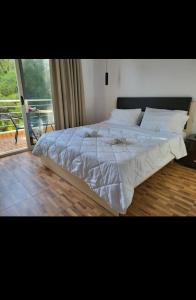 a large white bed in a bedroom with a window at Beach front villa 1 in Vlorë