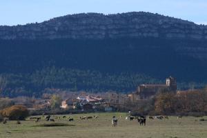 un allevamento di vacche che pascolano in un prato con una montagna di Casa Rural Apartamento El Chaveto a Herreros