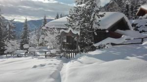 a yard covered in snow with a house at Neukam Hütte in Mühlbach am Hochkönig
