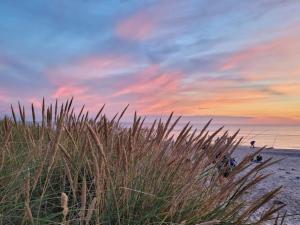 スケーエンにある6 person holiday home in Skagenの砂浜の景色 +55枚の写真