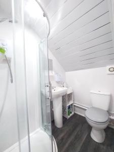 a bathroom with a shower and a toilet and a sink at The Wee Nest in Largs - One-Bedroom Ground Flat in Largs
