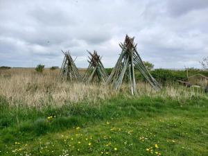 a group of grass structures in a field at Cozy Beach Cottage - By Traum Ferienwohnungen in Fjand Gårde +22 photos