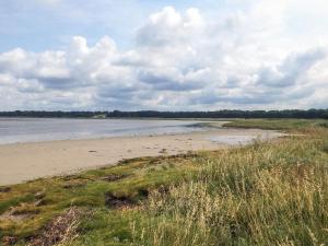 a beach with some grass and some water and clouds at 4 person holiday home in Jægerspris in Jægerspris
