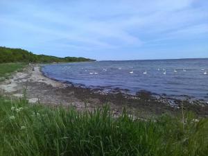 Afbeelding uit fotogalerij van 6 person holiday home in Karrebæksminde in Karrebæksminde +33 foto's