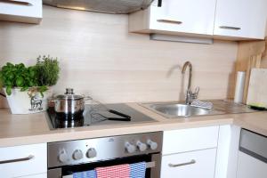 Η κουζίνα ή μικρή κουζίνα στο Ferienhaus Marie +13 φωτογραφίες