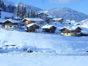 a village covered in snow with houses at Stallerhütte in Bachwinkl