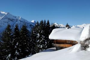 a cabin covered in snow with trees and mountains at Brandstatt Alm in Grossdornau