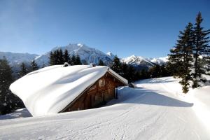 a snow covered cabin on a ski slope with mountains at Brandstatt Alm in Grossdornau