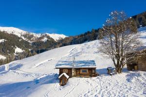 a cabin in the snow on a snowy mountain at Hungarhub Hütte in Grossarl