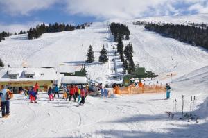 Σκι σε αυτή η παραθεριστική κατοικία ή εκεί κοντά