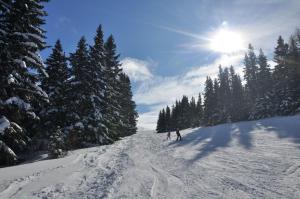 Το Almrausch-Feriendorf Koralpe τον χειμώνα
