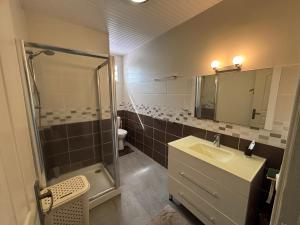 a bathroom with a shower and a sink and a toilet at Chambre zen & bien-être à 5 mn de la Galléria in Le Lamentin