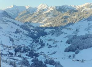 a view of a snowy mountain range with trees and houses at Schlickhütte in Schied