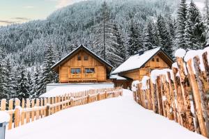 Το Bergseegut Chalets τον χειμώνα